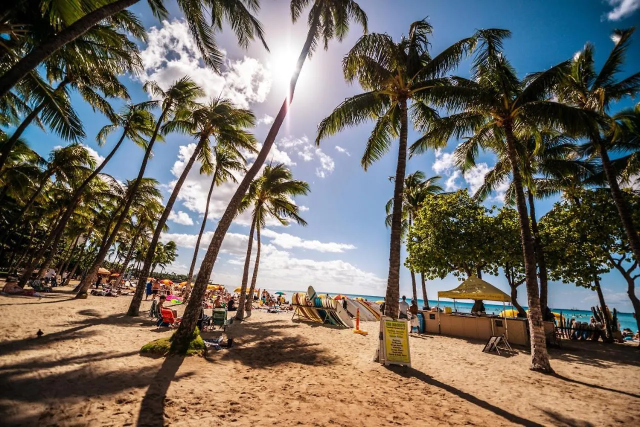 Stylish Oasis With Great Ocean And Diamond Head Views, Free Parking! Daire Honolulu