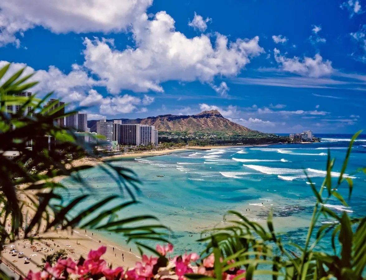 Stylish Oasis With Great Ocean And Diamond Head Views, Free Parking! Daire Honolulu