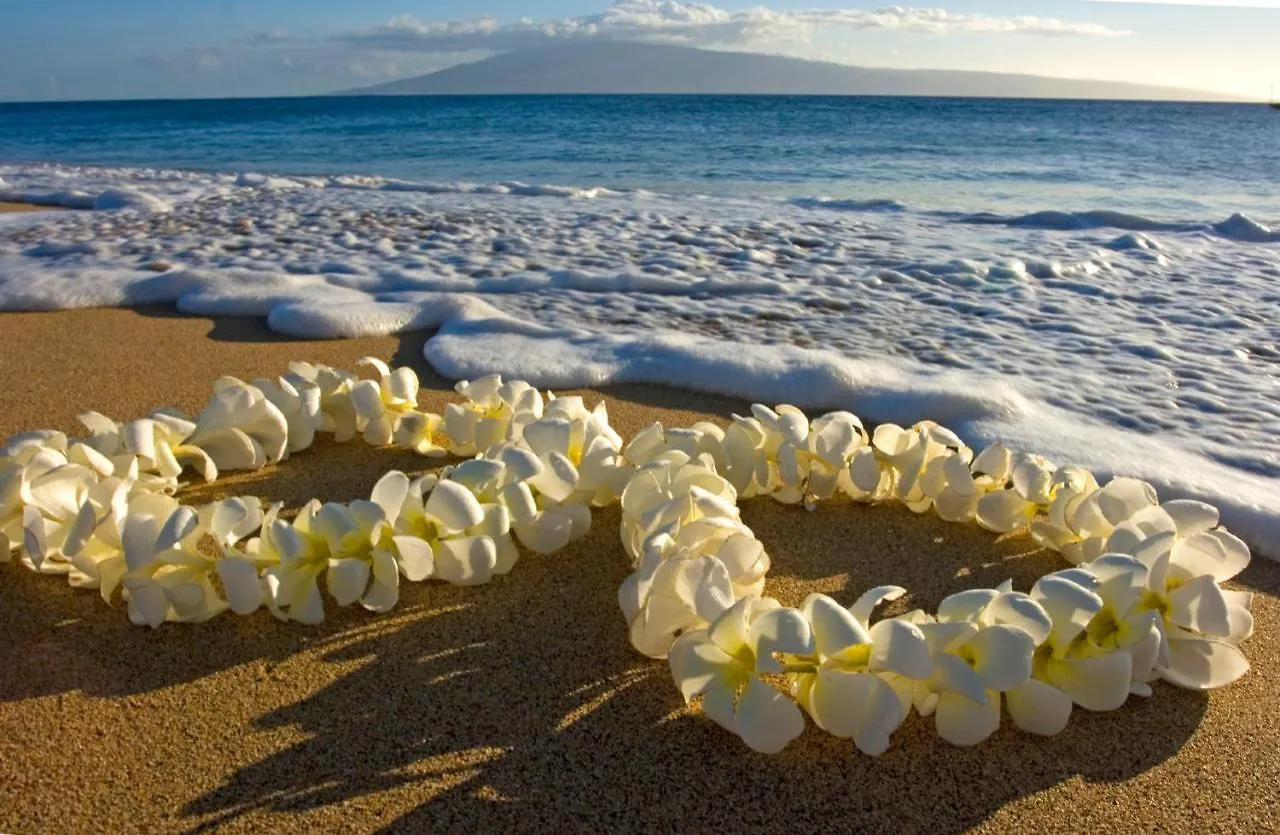 Stylish Oasis With Great Ocean And Diamond Head Views, Free Parking! Daire Honolulu 0*,  ABD
